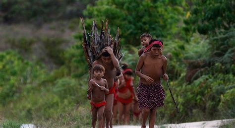 The Yanomami Struggle 